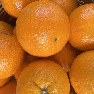 Orange (Large)