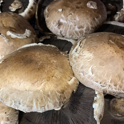 Portobella Mushrooms (3)
