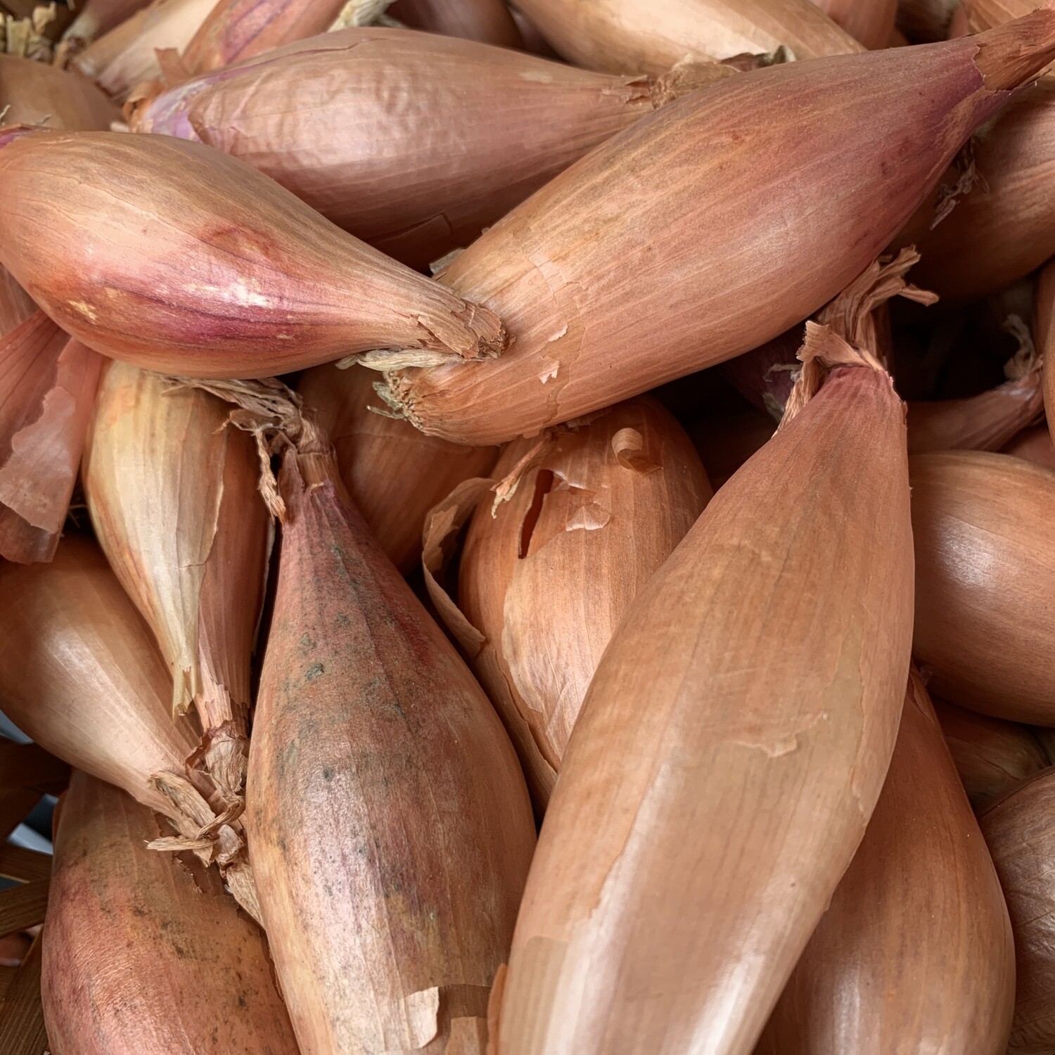 Shallots 250g