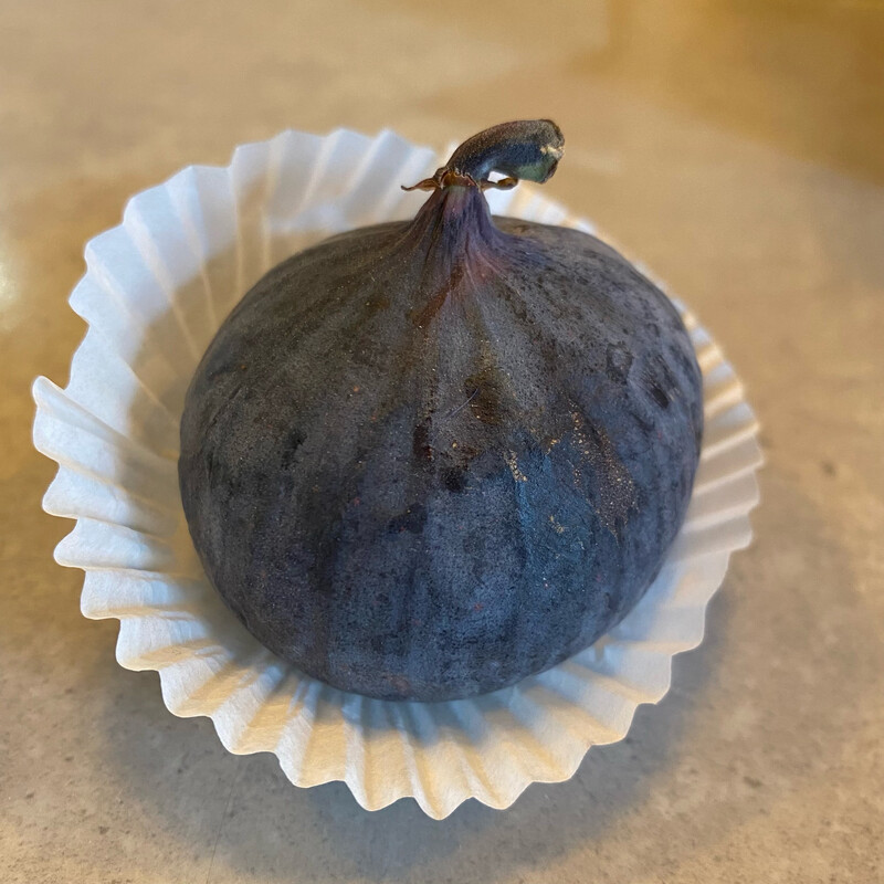 Black Fig (large)