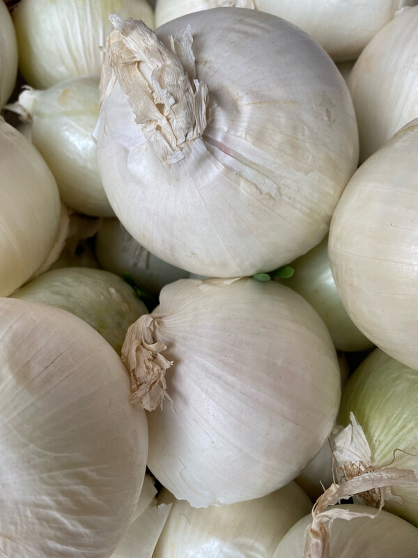 White Onion