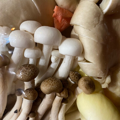 Mixed Wild Mushrooms