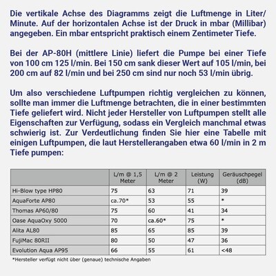Thomas Luftpumpe AP-60/80