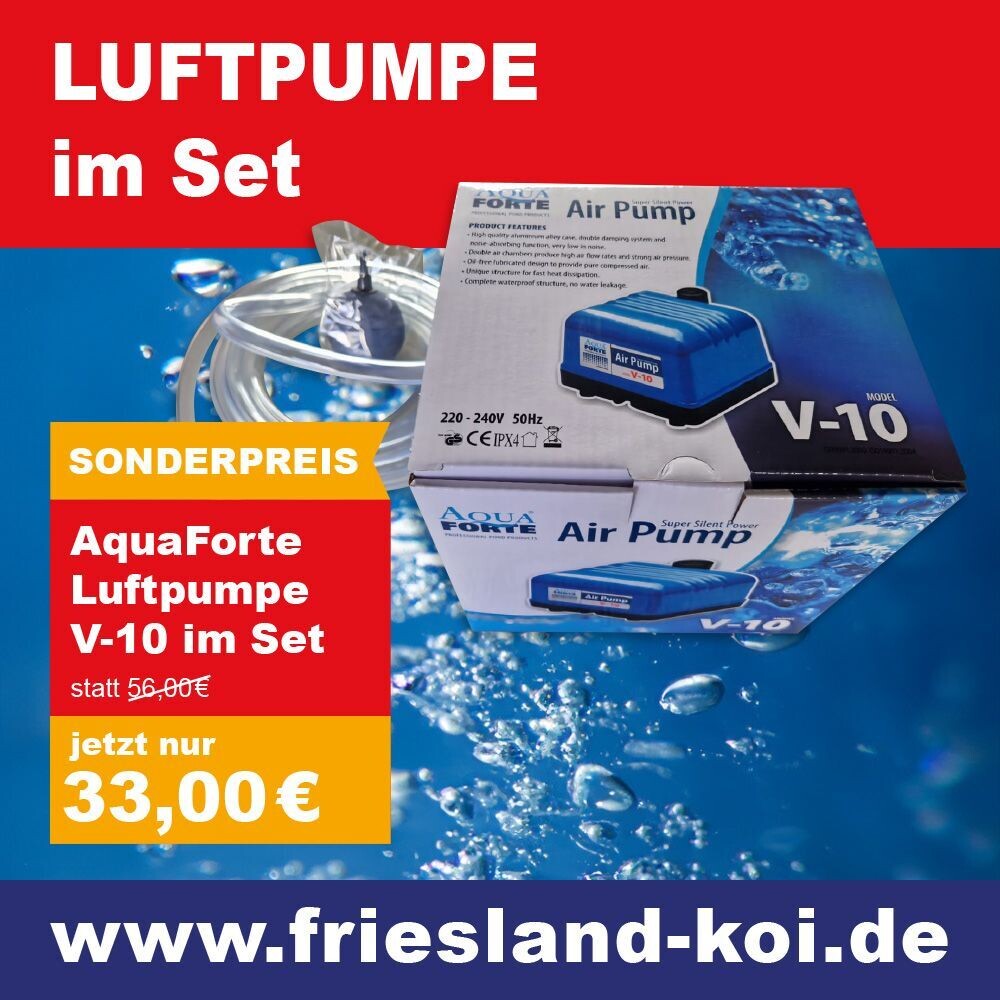 Aquaforte Luftpumpe V-10 Set mit Luftschlauch & Belüfterstein