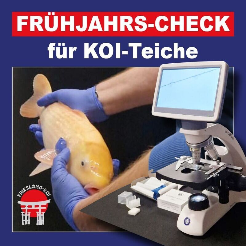 Frühjahrs-Check 2025