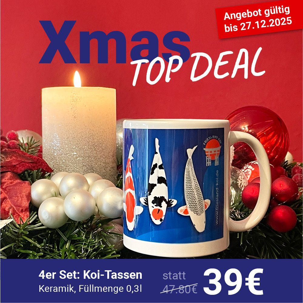 4er Set: Koi-Tassen 4er Set: Koi-Tassen