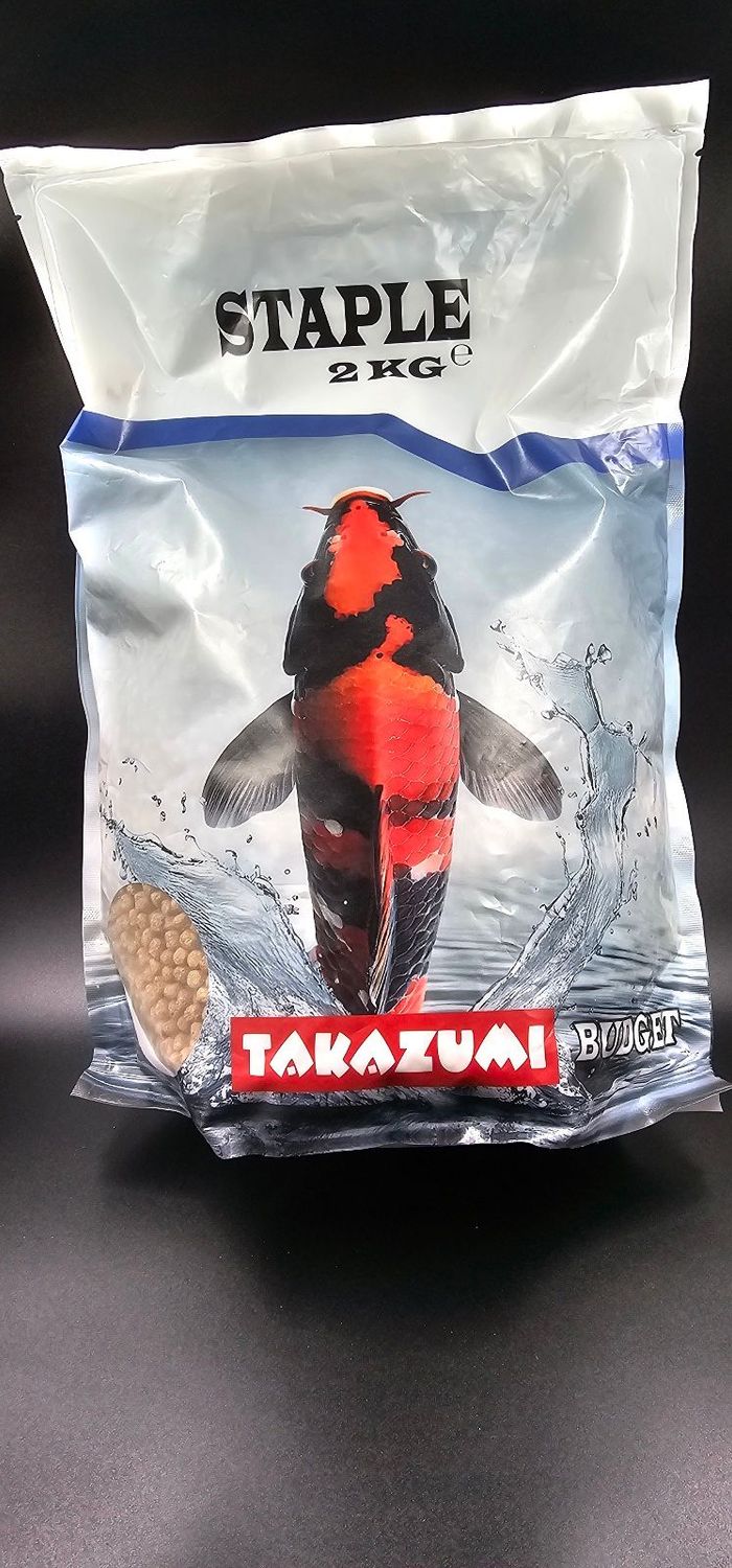 Takazumi 2 kg Budget Staple  6 mm