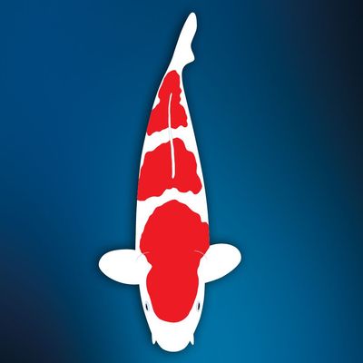 Deko Koi Kohaku ca. 95 cm Deko Koi Kohaku ca. 95 cm