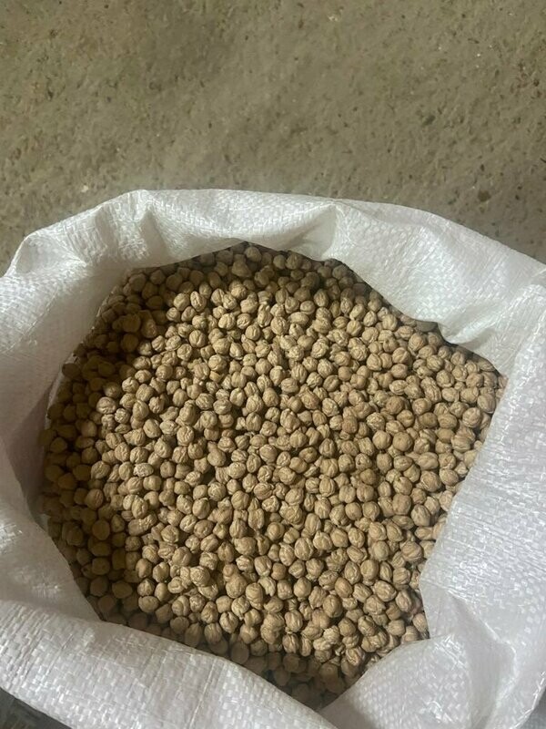 Garbanzo Castellano