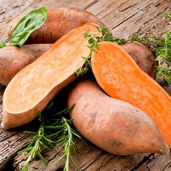 Zoete aardappel (Ipomoea batatas 'Beauregard') Zoete aardappel (Ipomoea batatas 'Beauregard')