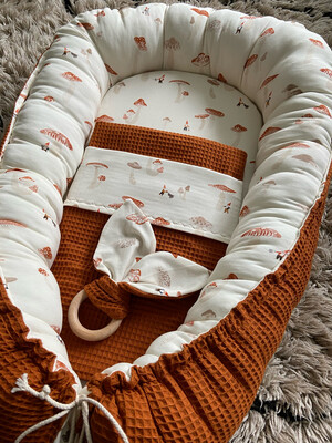 Babynest mushroom