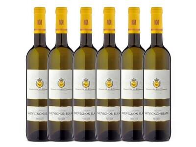 Sauvignon Blanc - Dry - 2020