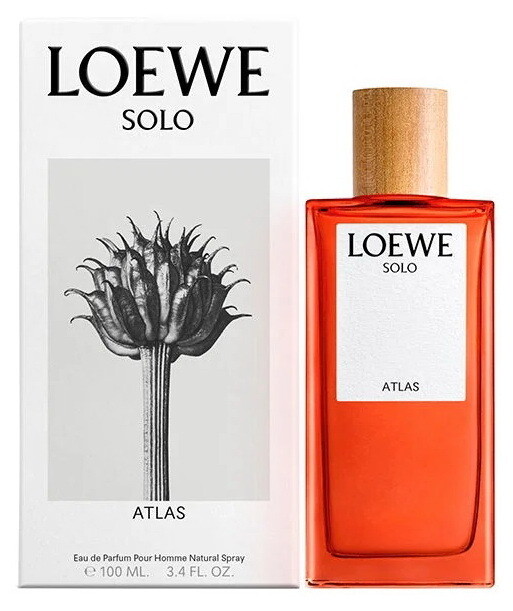 Solo Atlas - Loewe