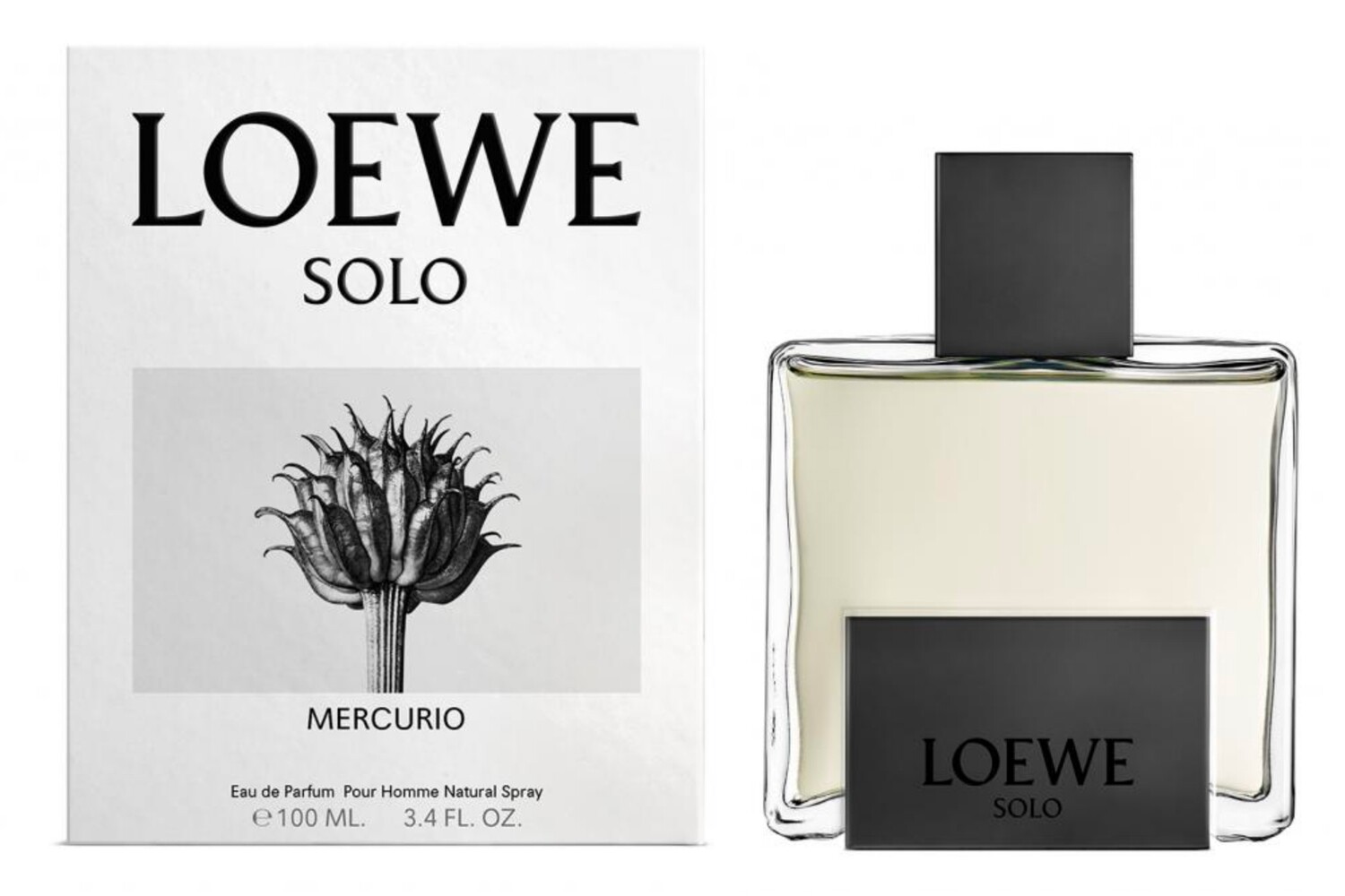 Solo Mercurio - Loewe