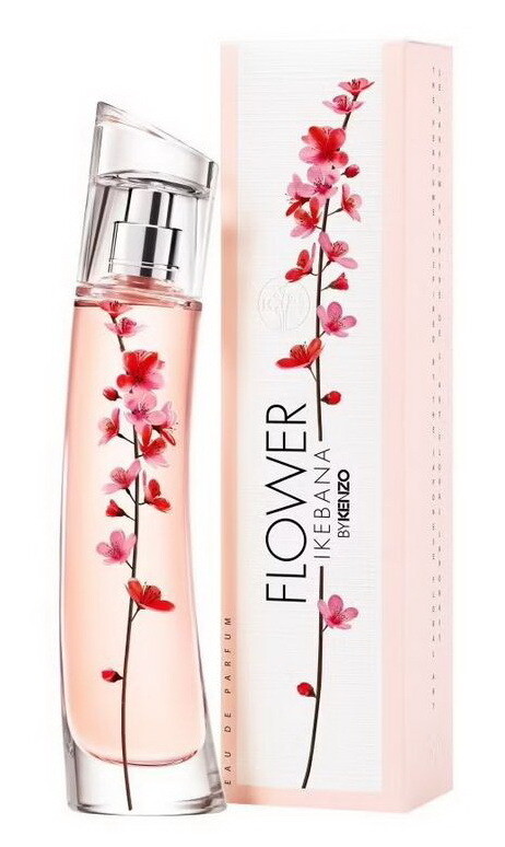 Flower Ikebana - Kenzo