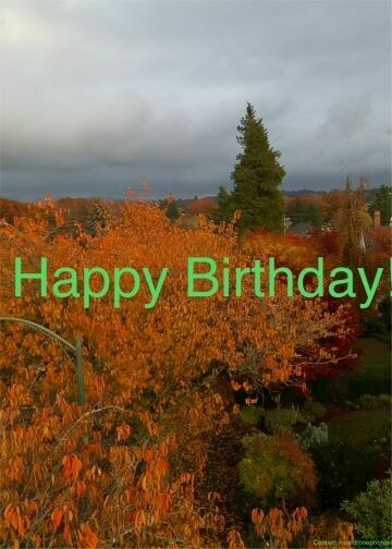 Birthday Card