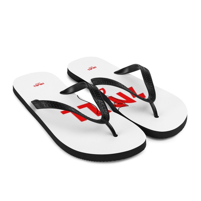 Flip-Flops
