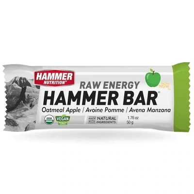 Raw Energy Bar - Oatmeal Apple