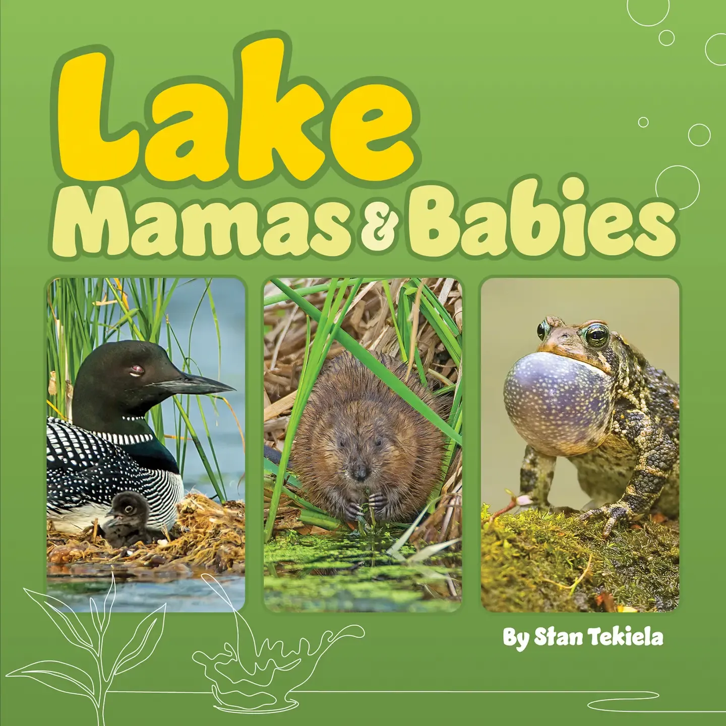 Lake Mamas &amp; Babies