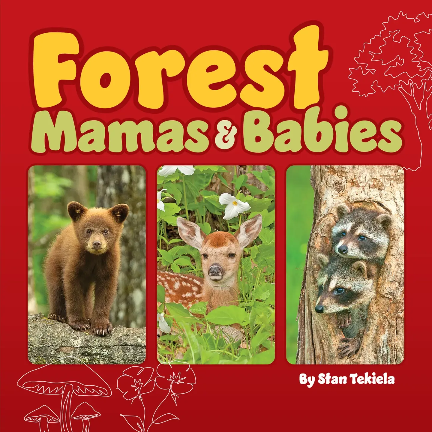Forest Mamas &amp; Babies