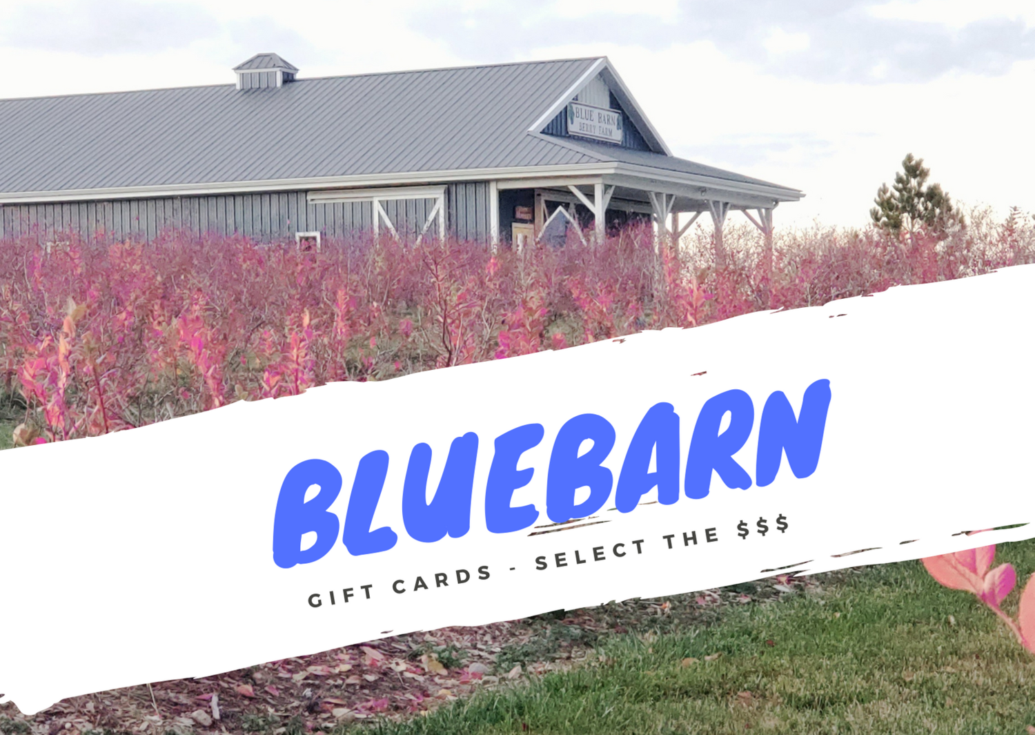 Gift Card ($25-$200)