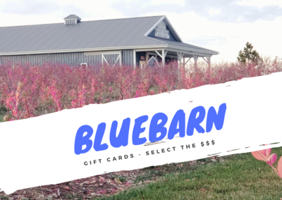 Gift Card ($25-$200)