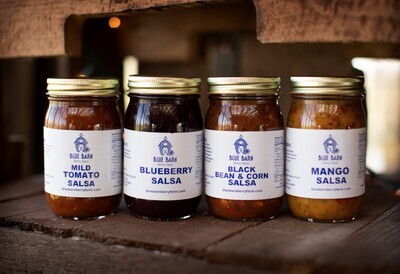 Salsa Sampler Packs (4 Big 16 oz JARS!) - SELECT FLAVORS