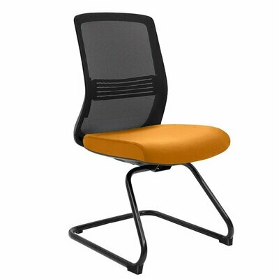 XM Meeting chair