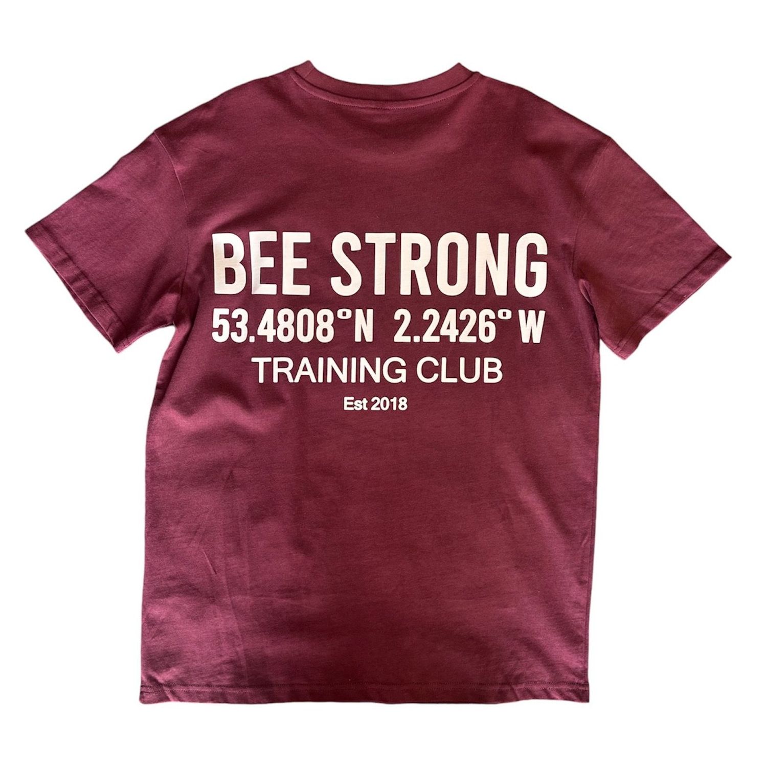 TRAINING CLUB OVERSIZED TEE - BURGUNDY
