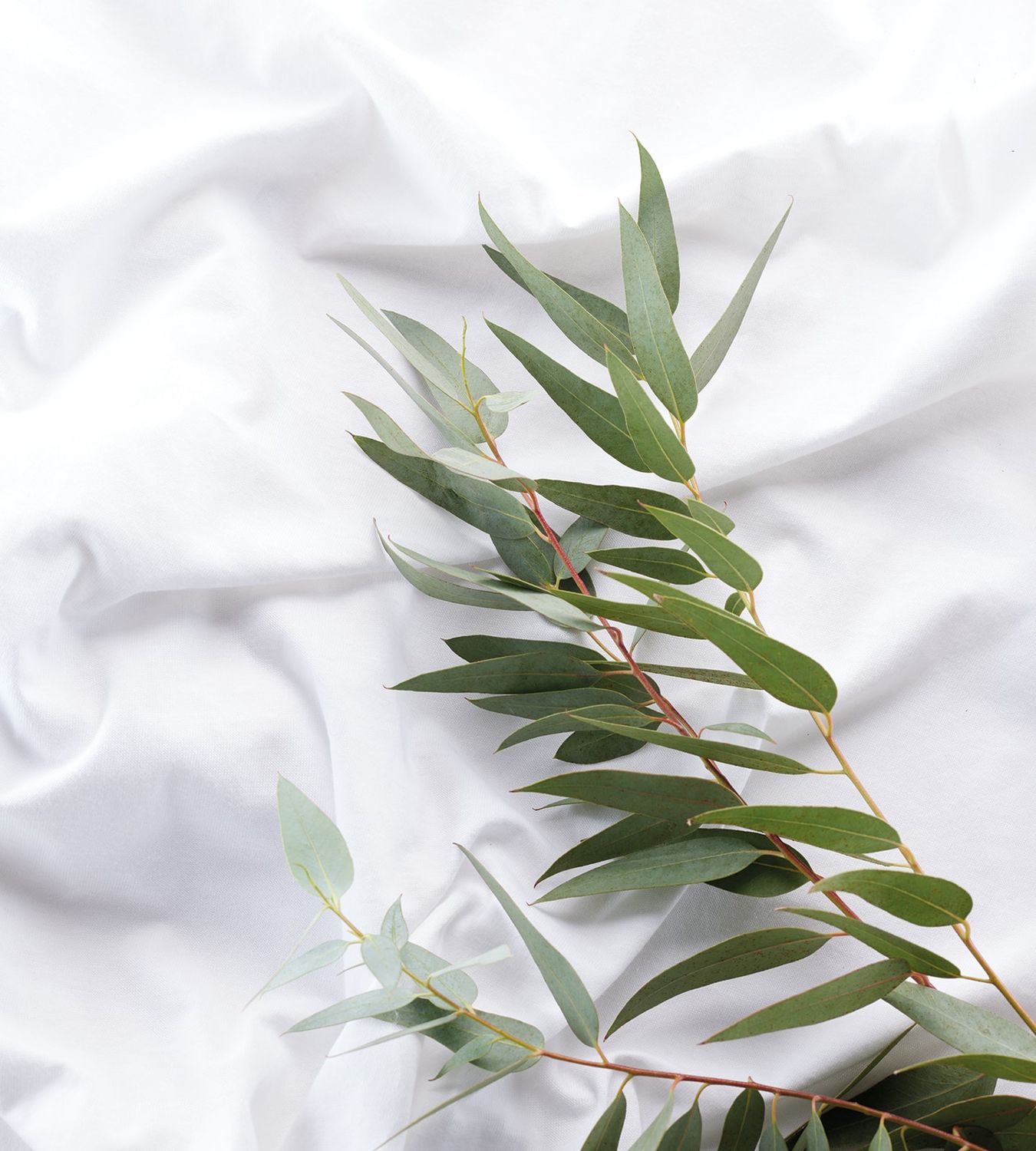 Protector de colchón impermeable y transpirable (2 unidades) | Grupo Mamapla Protector de colchón impermeable y transpirable (2 unidades) | Grupo Mamapla