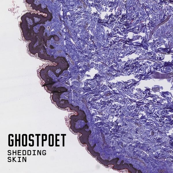 Ghostpoet 'Shedding Skin'