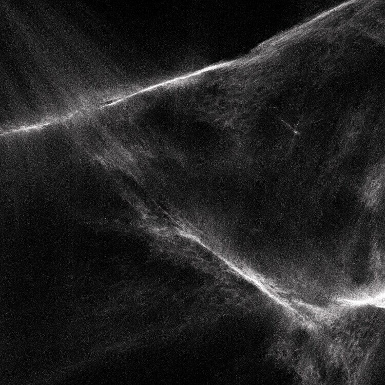 Final Light 'Final Light'