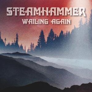 Steamhammer 'Wailing Again'