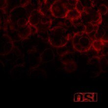 OSI 'Blood'