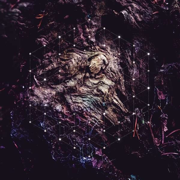 Psychonaut 'Unfold The God Man'