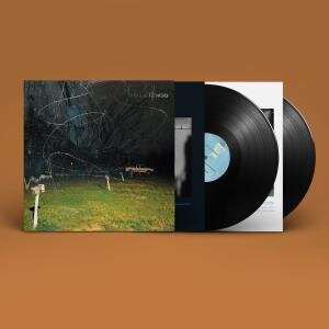 Yo La Tengo 'This Stupid World'