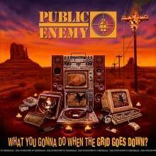 Public Enemy 'What You Gonna Do When The Grid Goes Down (Vinyl)'