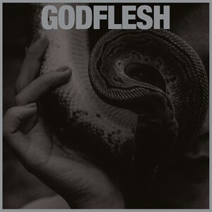 Godflesh 'Purge' Godflesh 'Purge'