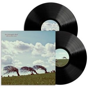 Pineapple Thief,The 'What We Have Sown'