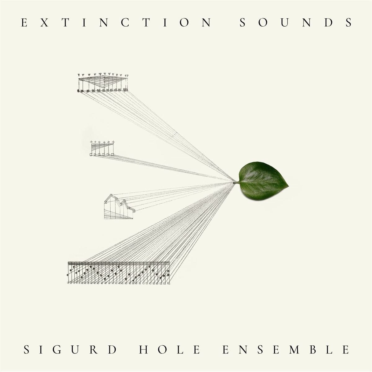 Hole, Sigurd  Ensemble 'Extinction Sounds '