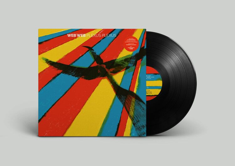 Web Web 'Plexus Plexus'