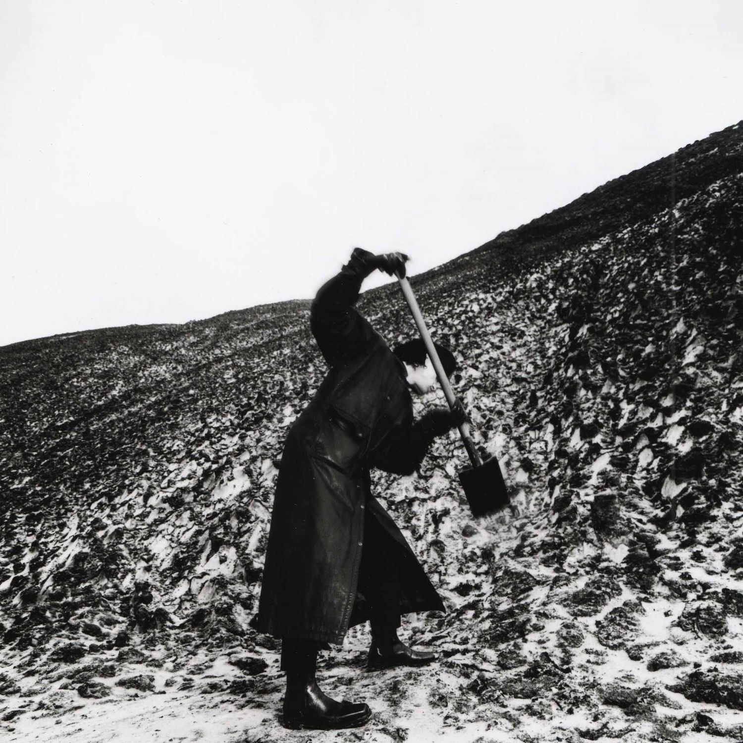 Drangsal 'Aus keiner meiner Brücken die in Asche liegen ist je ein Phönix emporgestiegen'