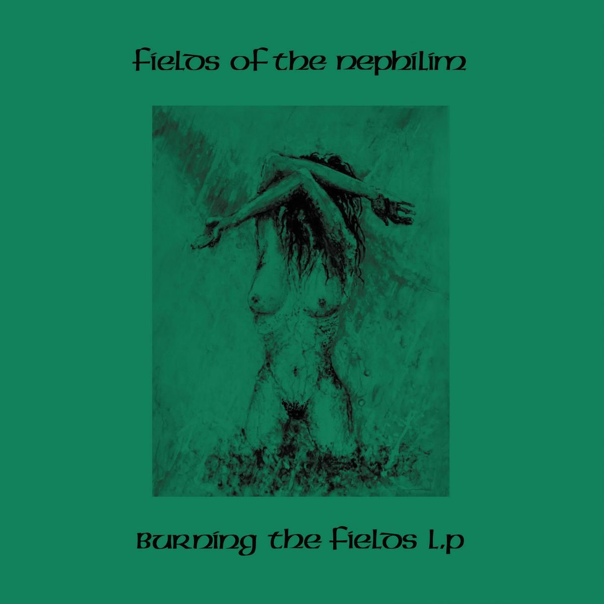 Fields of the Nephilim 'Burning The Fields '