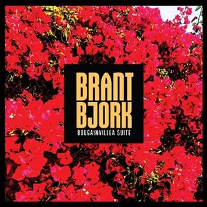 Bjork, Brant 'Bougainvillea'