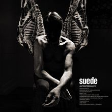 Suede 'Antidepressants'