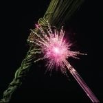 Various 'Wicked For Good: The Soundtrack '