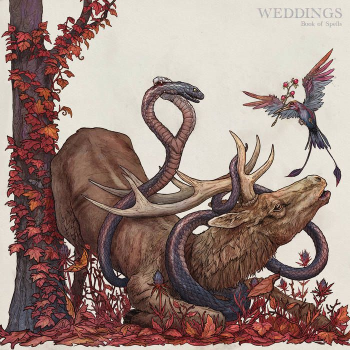 Weddings - 'Book Of Spells' - LP Weddings - 'Book Of Spells' - LP