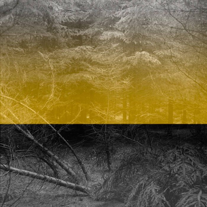 Evoilà - 'FIB' - LP