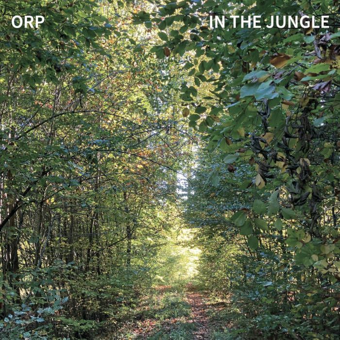 ORP - 'In The Jungle' - LP