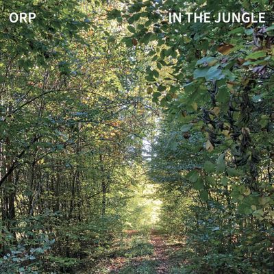 ORP - 'In The Jungle' - LP